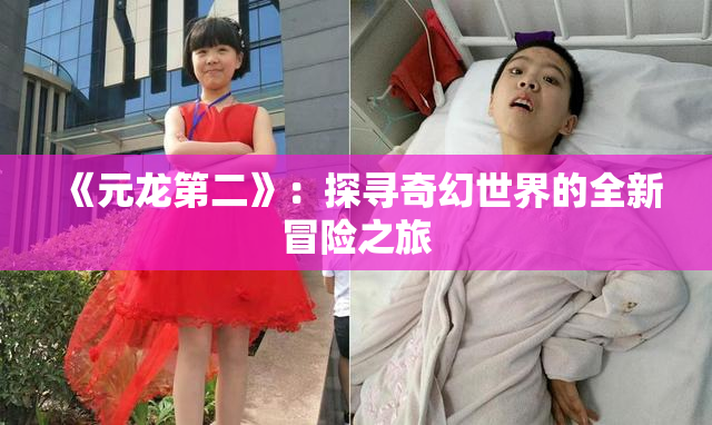 《元龙第二》：探寻奇幻世界的全新冒险之旅