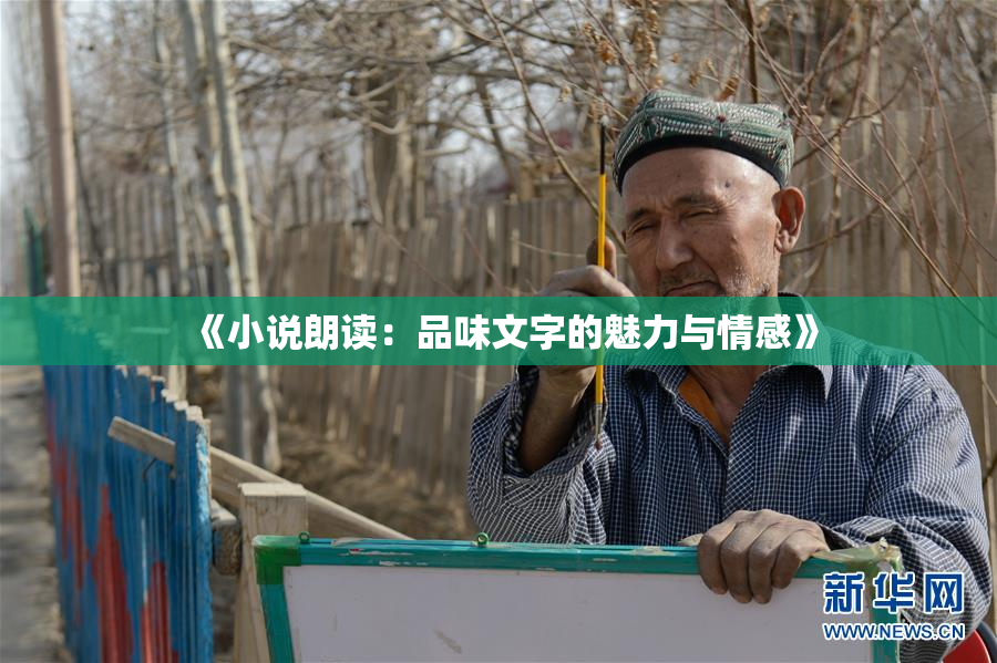 《小说朗读：品味文字的魅力与情感》