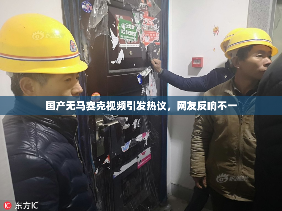 国产无马赛克视频引发热议，网友反响不一