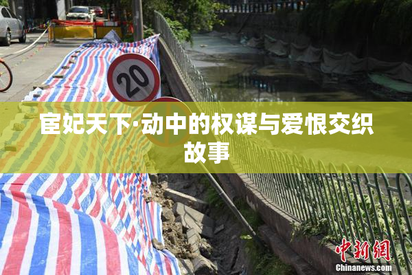 宦妃天下·动中的权谋与爱恨交织故事