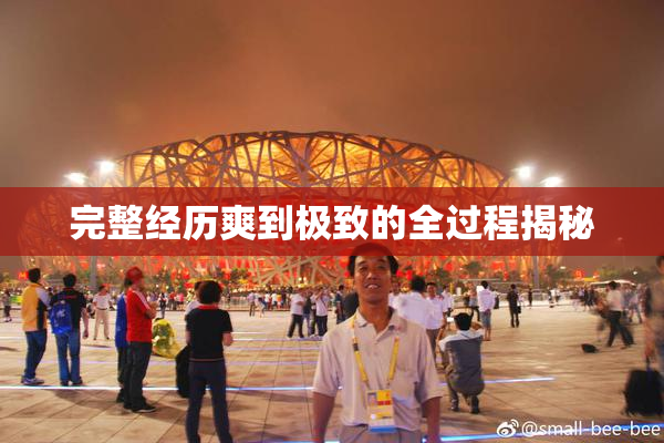 完整经历爽到极致的全过程揭秘