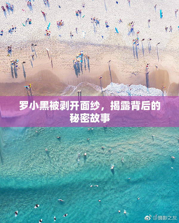 罗小黑被剥开面纱，揭露背后的秘密故事