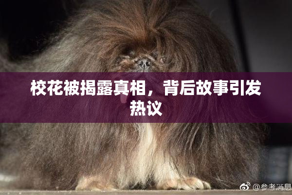 校花被揭露真相，背后故事引发热议