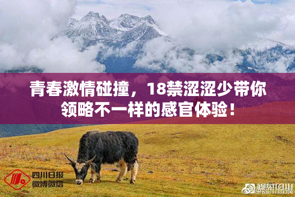 青春激情碰撞，18禁涩涩少带你领略不一样的感官体验！