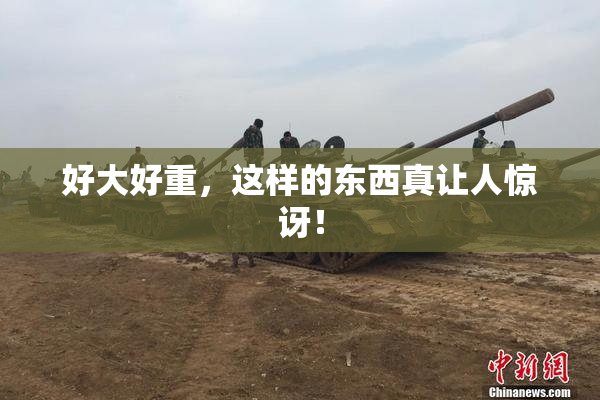 好大好重，这样的东西真让人惊讶！