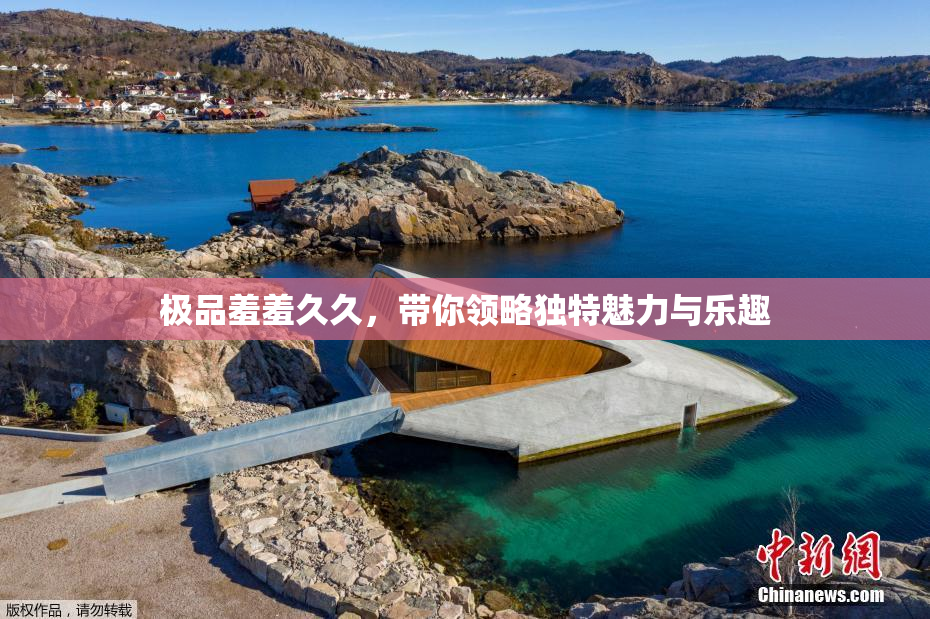 极品羞羞久久，带你领略独特魅力与乐趣