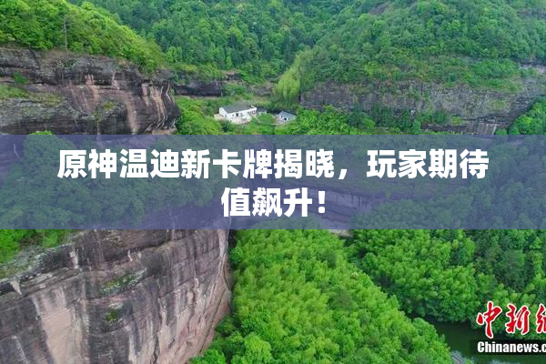 原神温迪新卡牌揭晓，玩家期待值飙升！