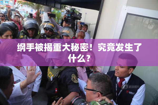 纲手被揭重大秘密！究竟发生了什么？