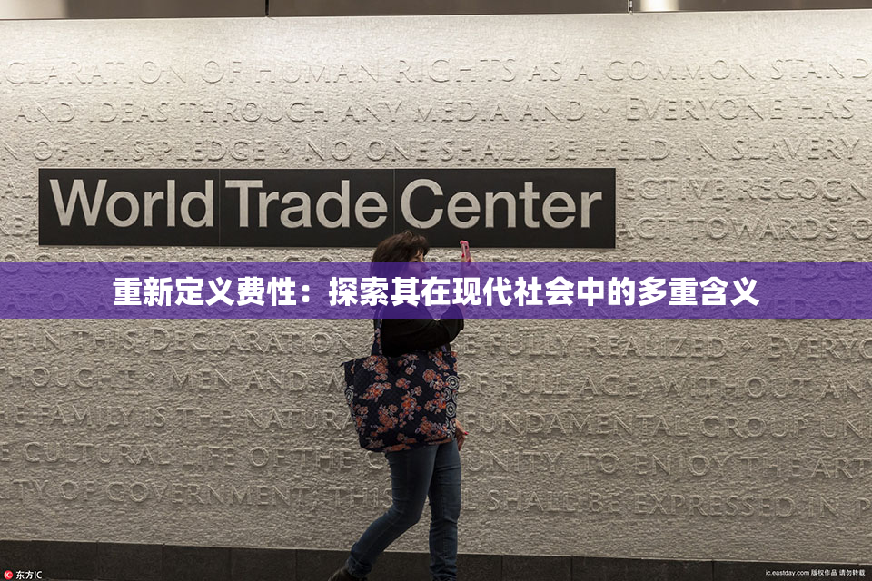 重新定义费性：探索其在现代社会中的多重含义
