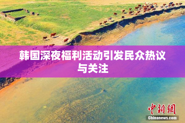韩国深夜福利活动引发民众热议与关注