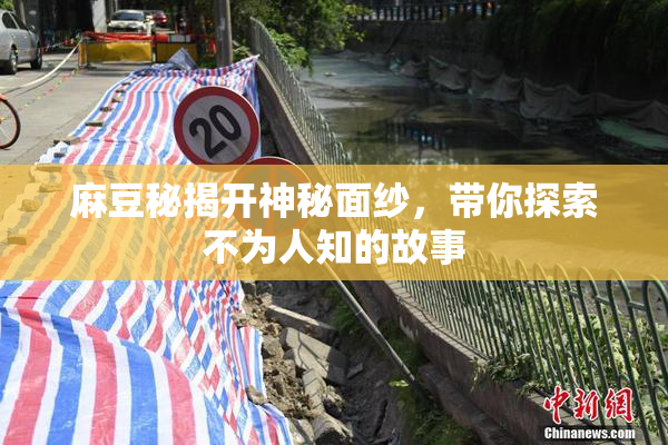 麻豆秘揭开神秘面纱，带你探索不为人知的故事