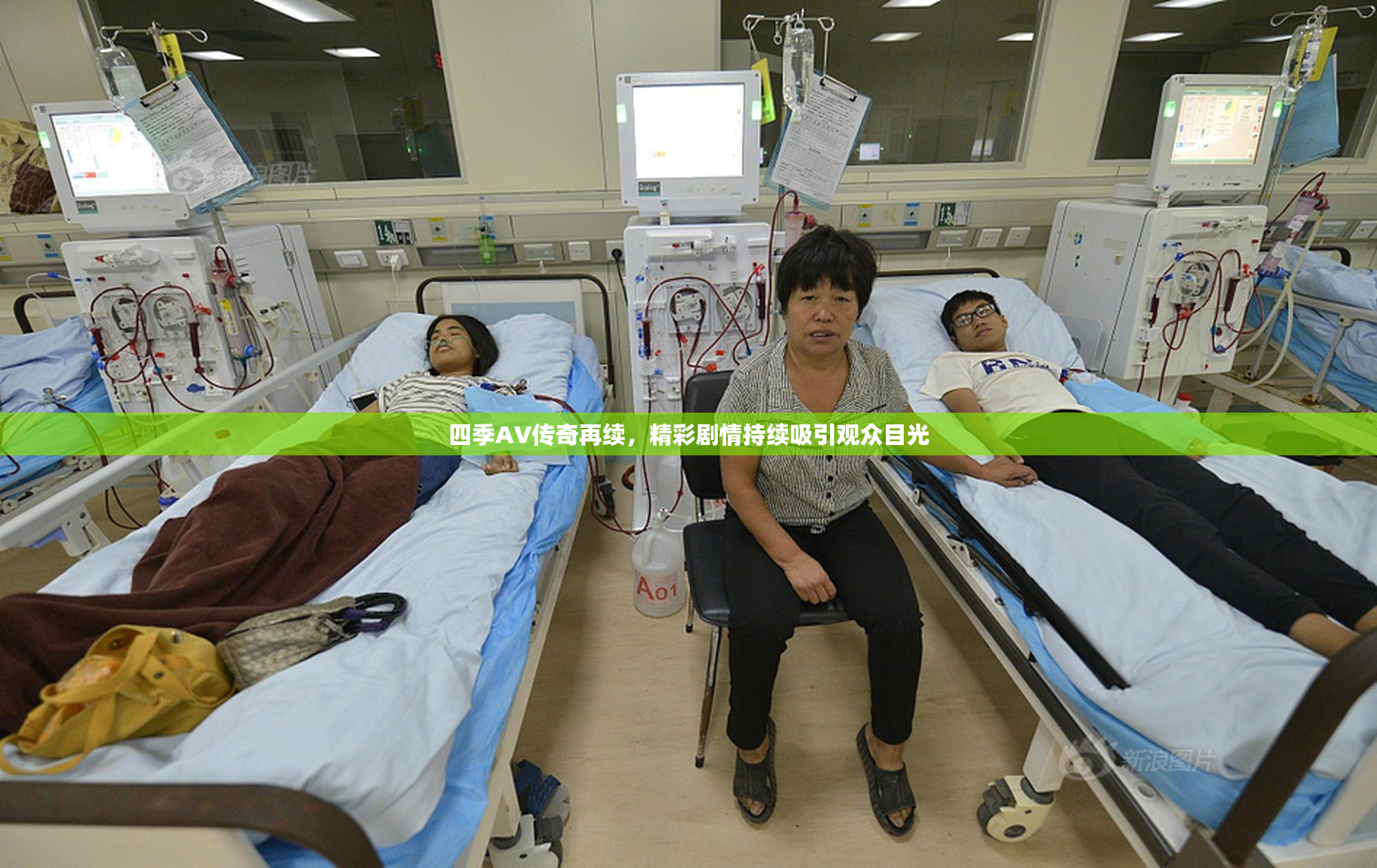 四季AV传奇再续，精彩剧情持续吸引观众目光