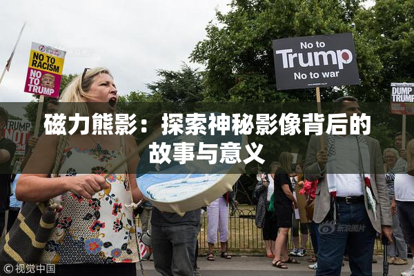 磁力熊影：探索神秘影像背后的故事与意义