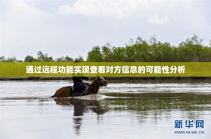通过远程功能实现查看对方信息的可能性分析