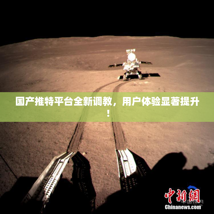 国产推特平台全新调教，用户体验显著提升！