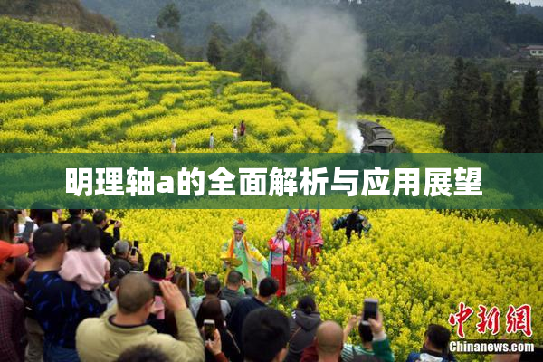 明理轴a的全面解析与应用展望