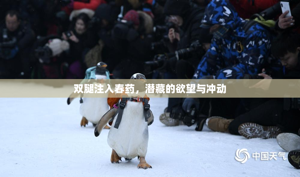 双腿注入春药，潜藏的欲望与冲动