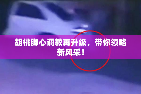 胡桃脚心调教再升级，带你领略新风采！
