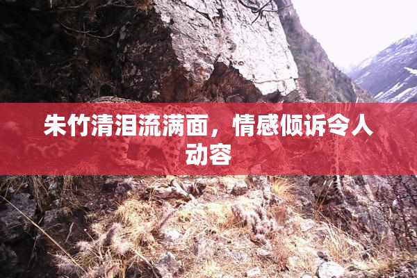 朱竹清泪流满面，情感倾诉令人动容