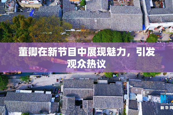 董卿在新节目中展现魅力，引发观众热议