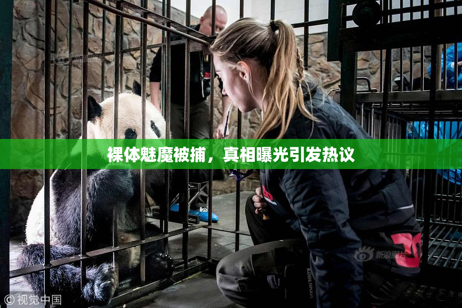 裸体魅魔被捕，真相曝光引发热议