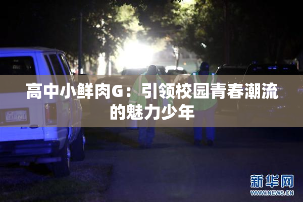 高中小鲜肉G：引领校园青春潮流的魅力少年