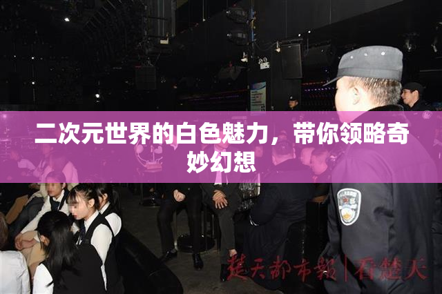 二次元世界的白色魅力，带你领略奇妙幻想