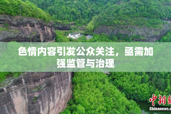 色情内容引发公众关注，亟需加强监管与治理
