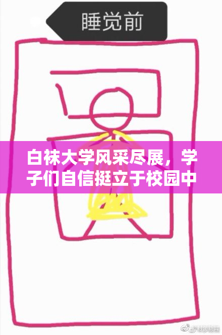白袜大学风采尽展，学子们自信挺立于校园中
