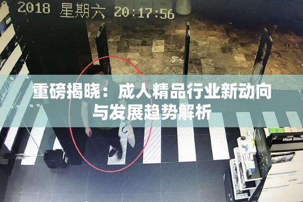 重磅揭晓：成人精品行业新动向与发展趋势解析