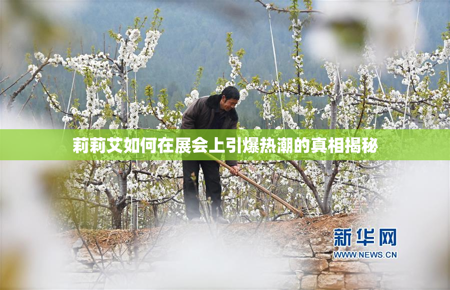 莉莉艾如何在展会上引爆热潮的真相揭秘