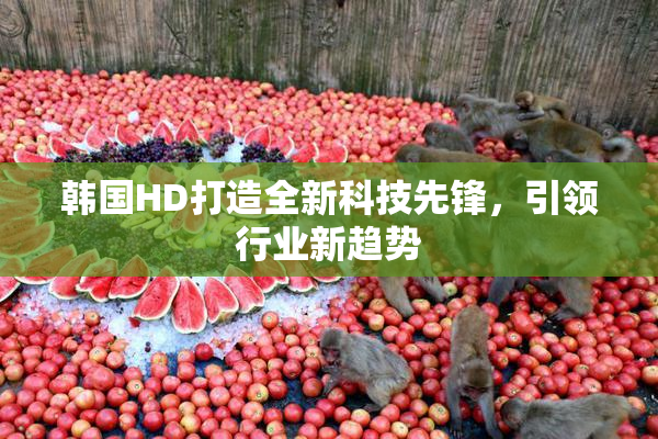 韩国HD打造全新科技先锋，引领行业新趋势