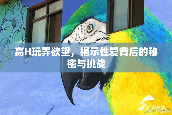 高H玩弄欲望，揭示性爱背后的秘密与挑战