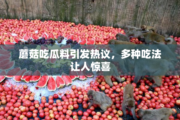 蘑菇吃瓜料引发热议，多种吃法让人惊喜