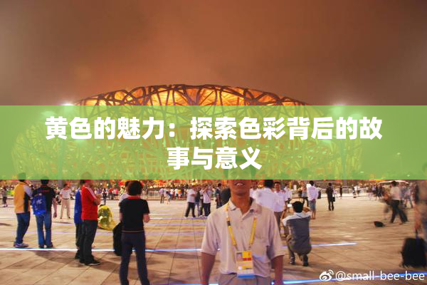 黄色的魅力：探索色彩背后的故事与意义