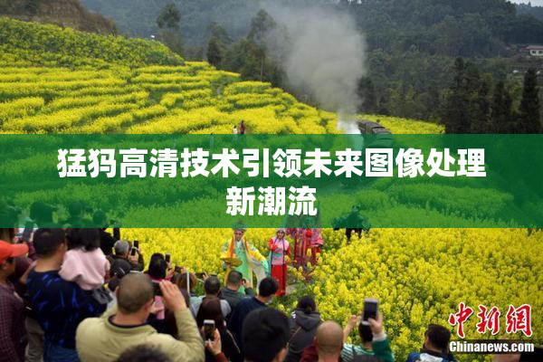 猛犸高清技术引领未来图像处理新潮流