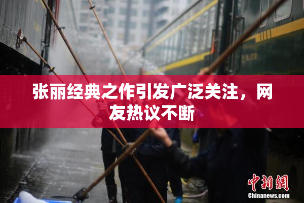 张丽经典之作引发广泛关注，网友热议不断