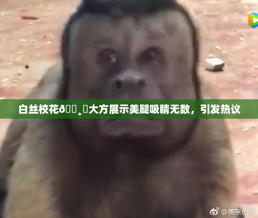 白丝校花🌸‌大方展示美腿吸睛无数，引发热议