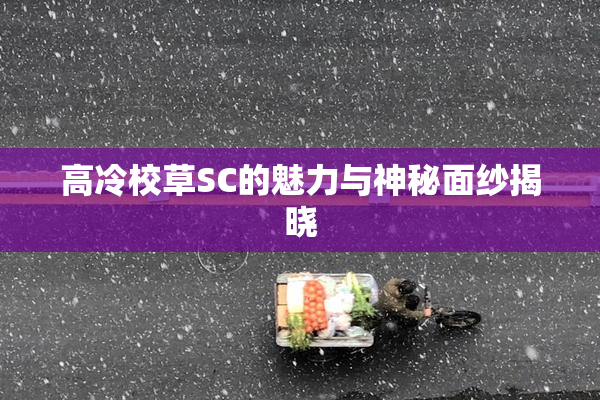 高冷校草SC的魅力与神秘面纱揭晓