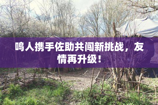 鸣人携手佐助共闯新挑战，友情再升级！