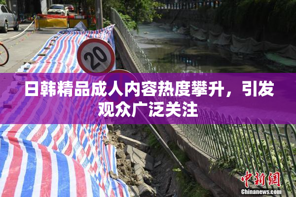 日韩精品成人内容热度攀升，引发观众广泛关注