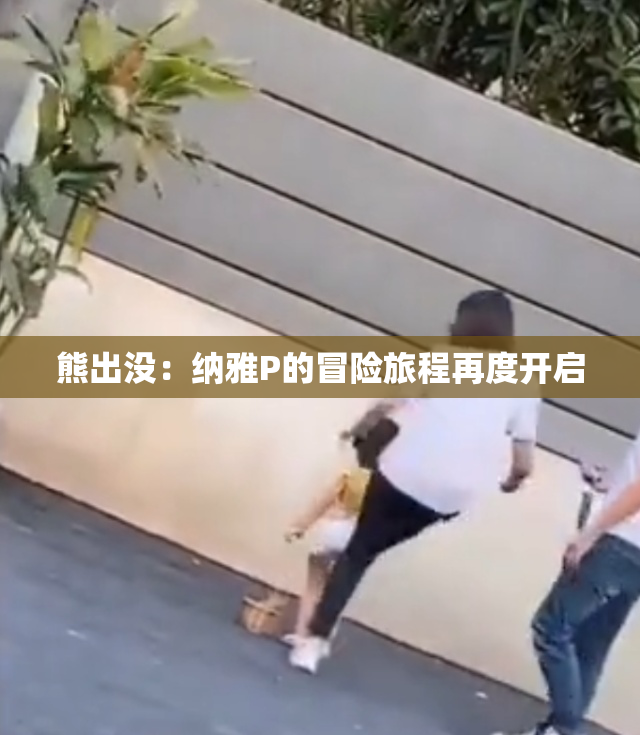 熊出没：纳雅P的冒险旅程再度开启