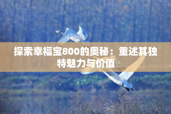 探索幸福宝800的奥秘：重述其独特魅力与价值