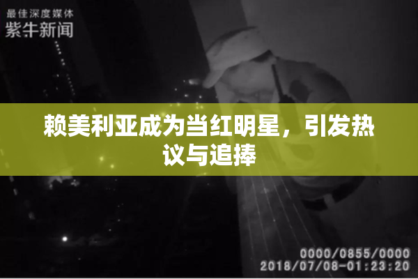 赖美利亚成为当红明星，引发热议与追捧