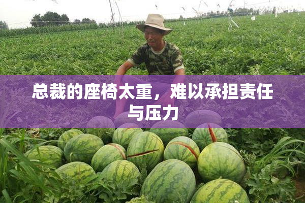 总裁的座椅太重，难以承担责任与压力