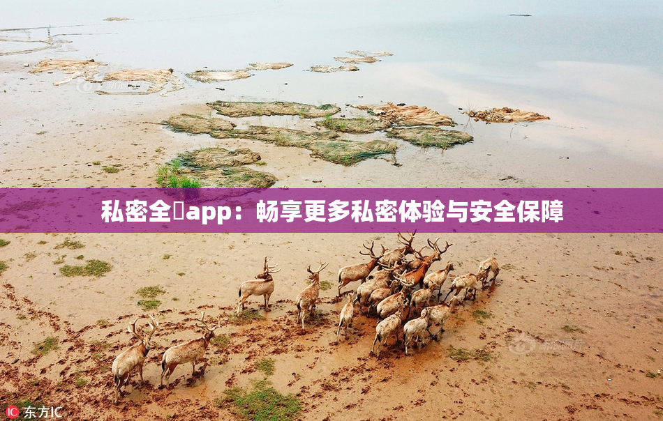 私密全婐app：畅享更多私密体验与安全保障