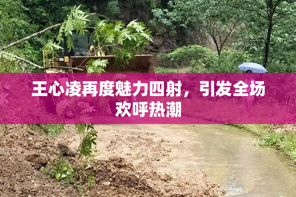 王心凌再度魅力四射，引发全场欢呼热潮