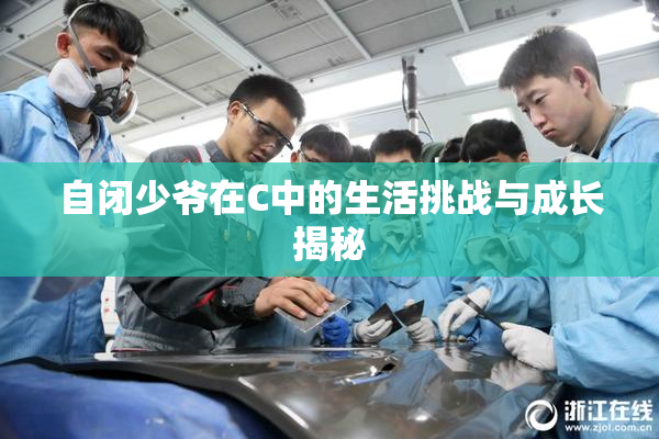 自闭少爷在C中的生活挑战与成长揭秘