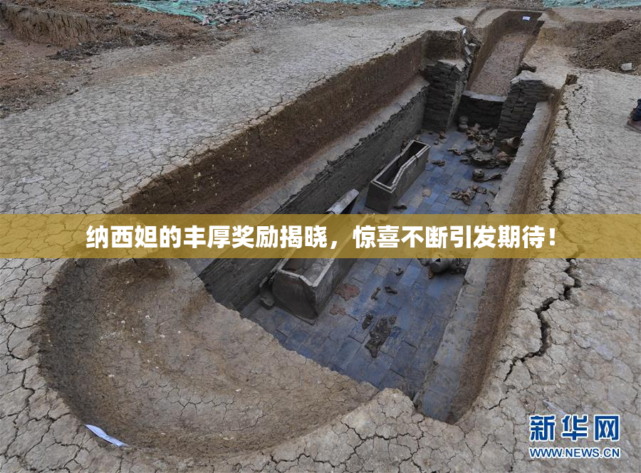 纳西妲的丰厚奖励揭晓，惊喜不断引发期待！