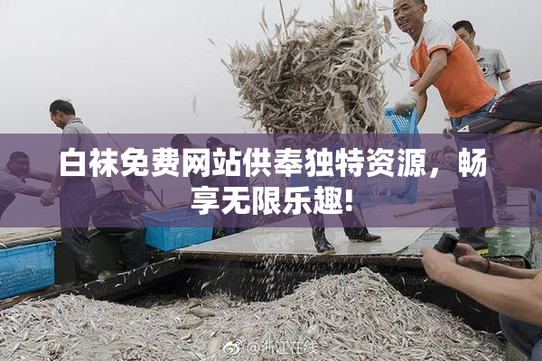 白袜免费网站供奉独特资源，畅享无限乐趣!